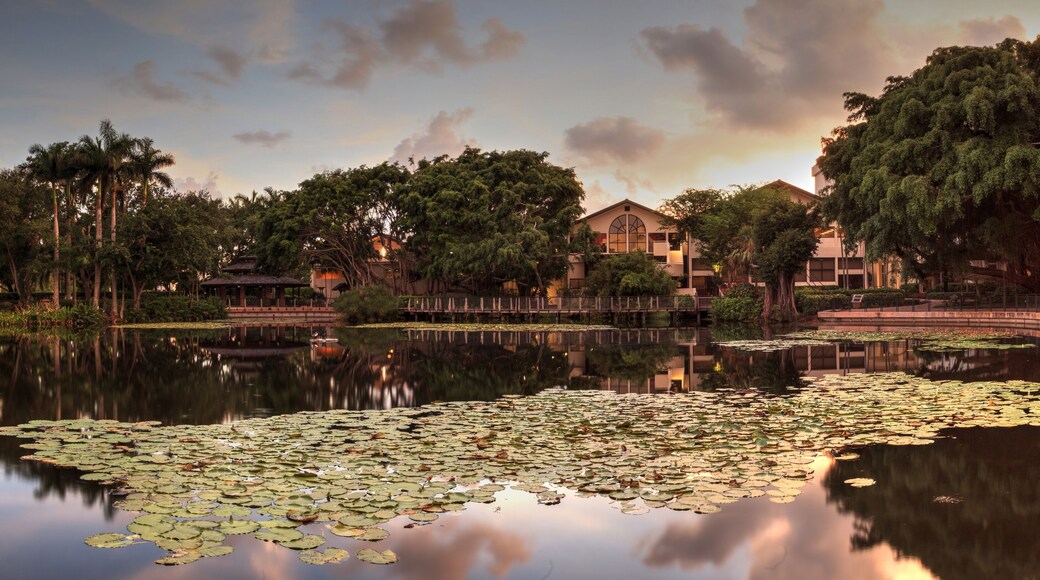 Overlooking a pond at sunset at the Garden of Hope and Courage