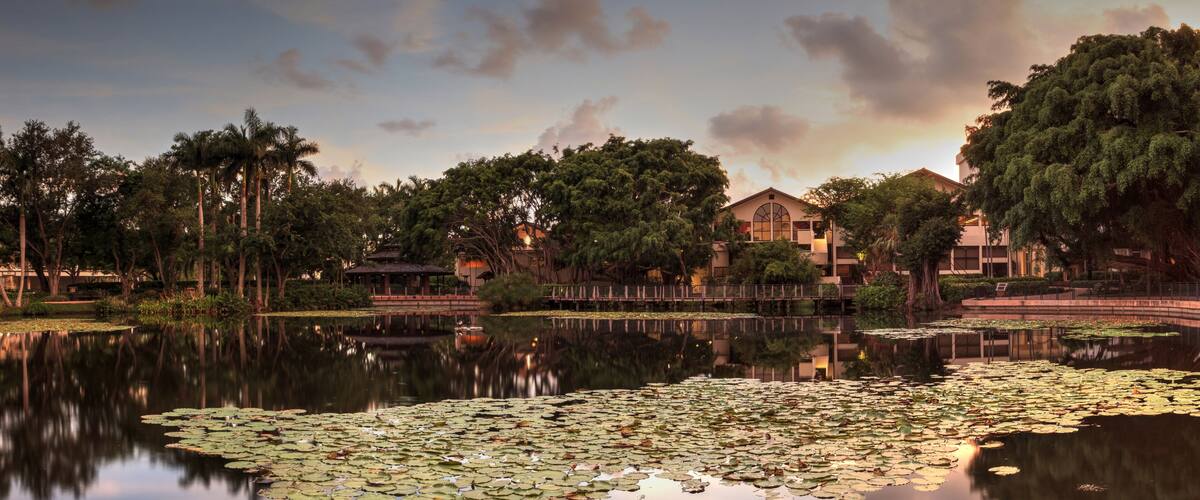 Overlooking a pond at sunset at the Garden of Hope and Courage