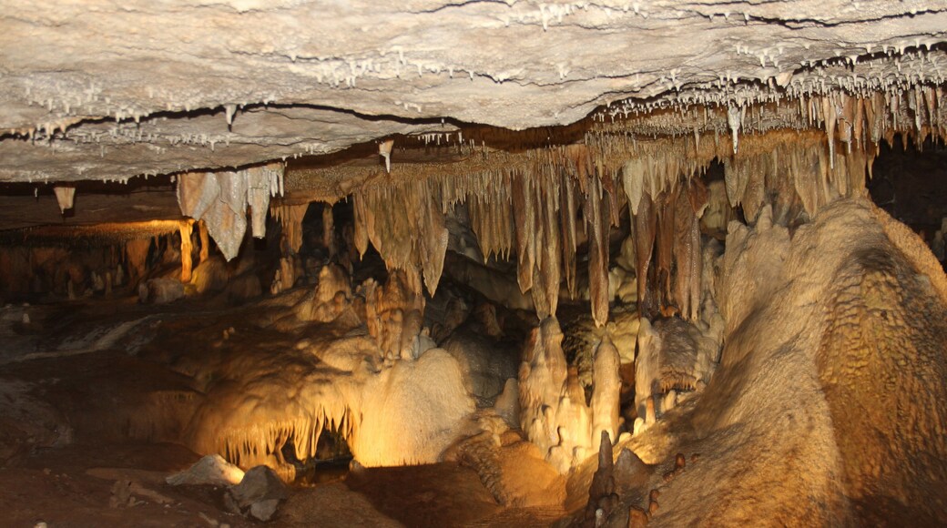 Southeast Springfield