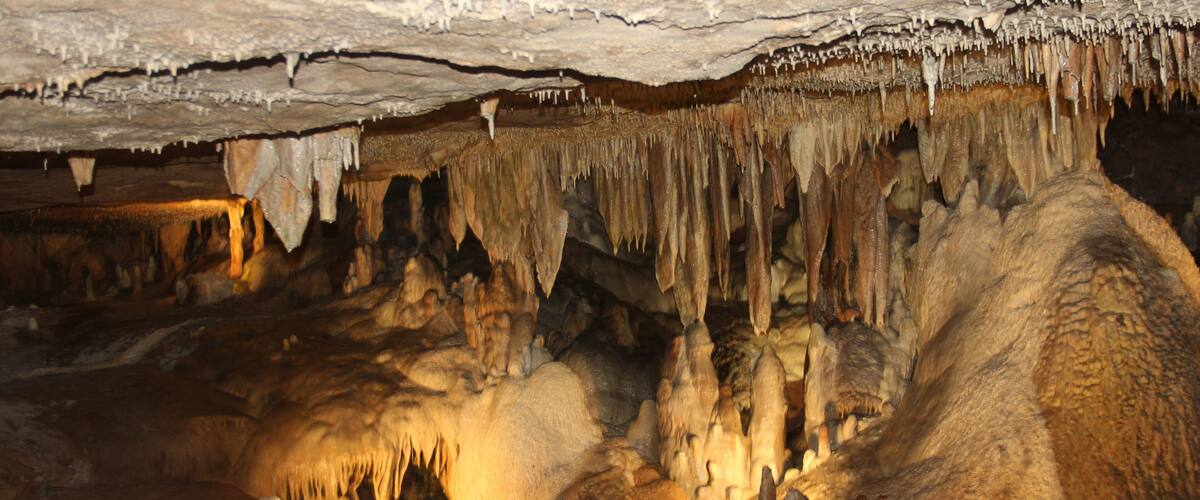 Stalactites hold tight to the ceiling, and Stalagmites grow to the ceiling from the floor. Fantastic Cavern, Springfield, Missouri.