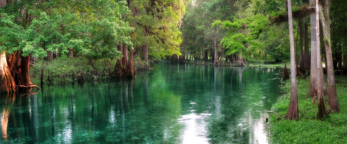 Florida spring-fed river panorama