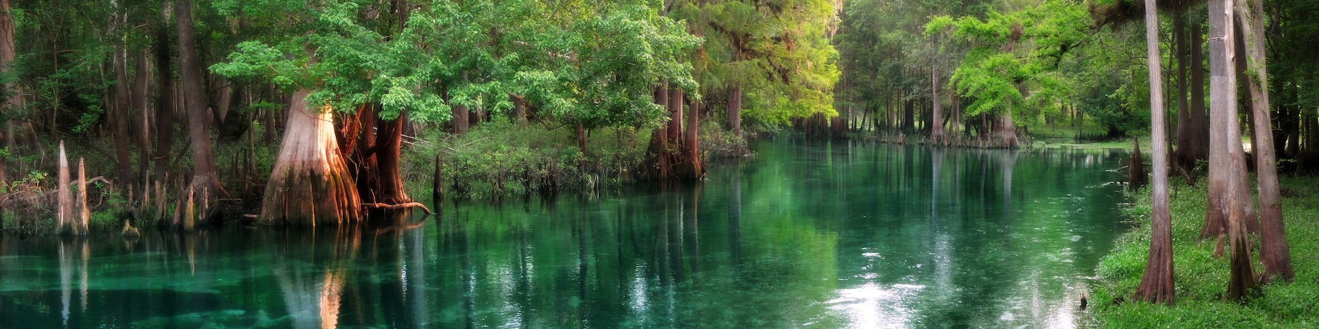 A serene river surrounded by tall trees and dense foliage.