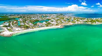 Sombrero Beach with palm trees on the Florida Keys, Marathon, Florida, USA.
