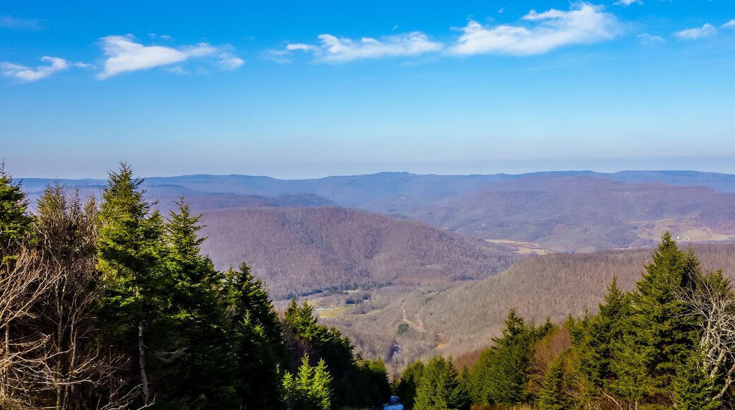 landscapes around town of snowshoe west virginia