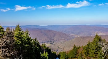 landscapes around town of snowshoe west virginia