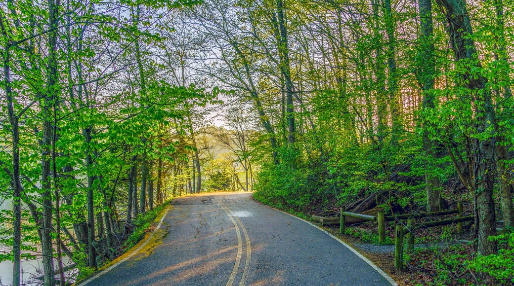 Radnor Lake - Nashville, Tennessee