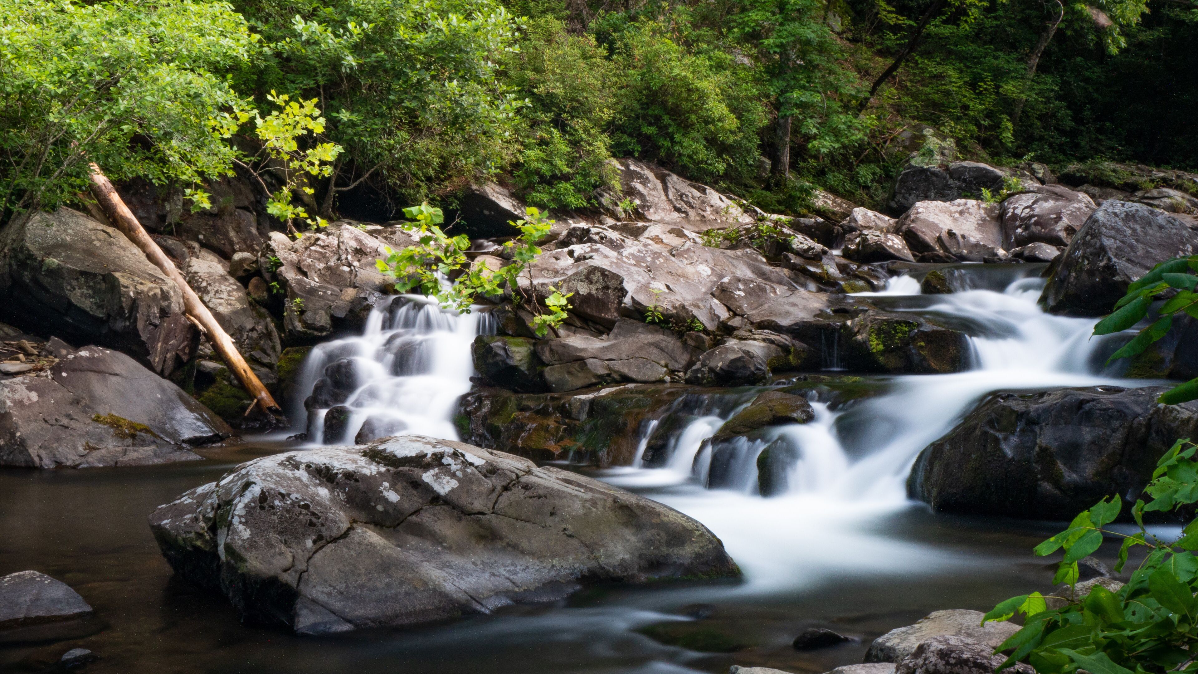 Holly Creek -  Cohutta Wilderness, North Georgia