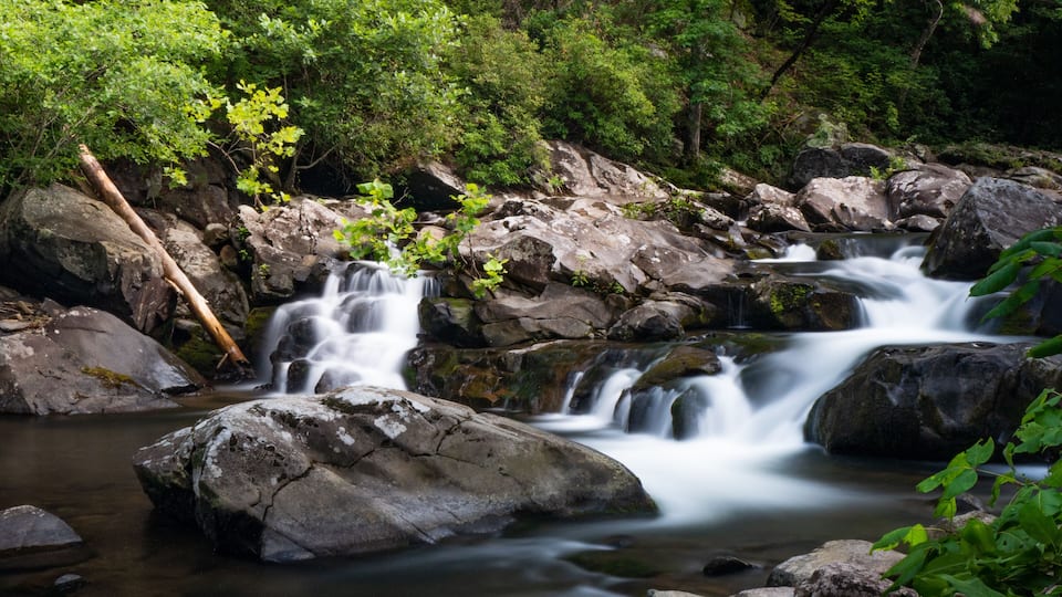 Holly Creek - Cohutta Wilderness, North Georgia