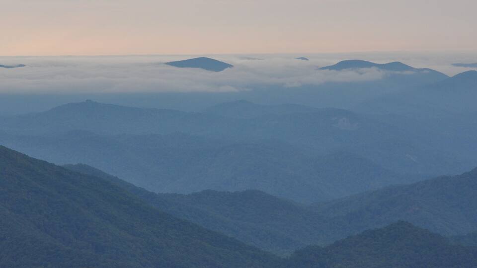 A misty View - Georgia, USA