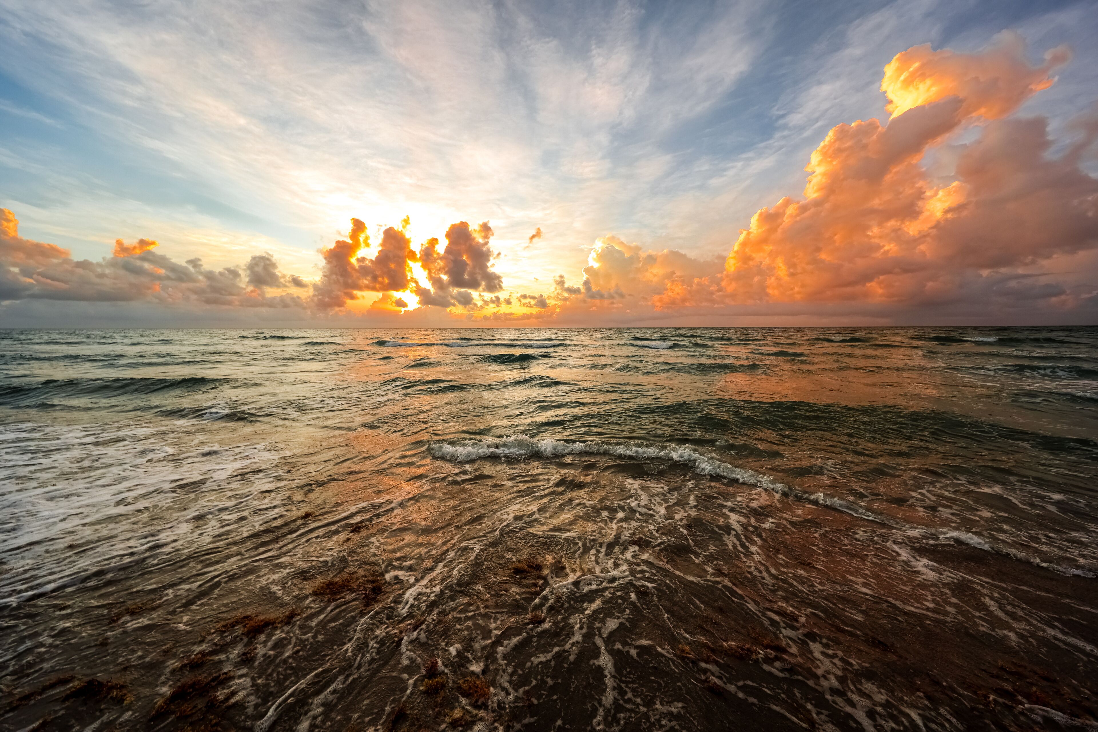Sunrise Over the Atlantic Ocean with Seaweed on the Shore, Boca Raton, Florida