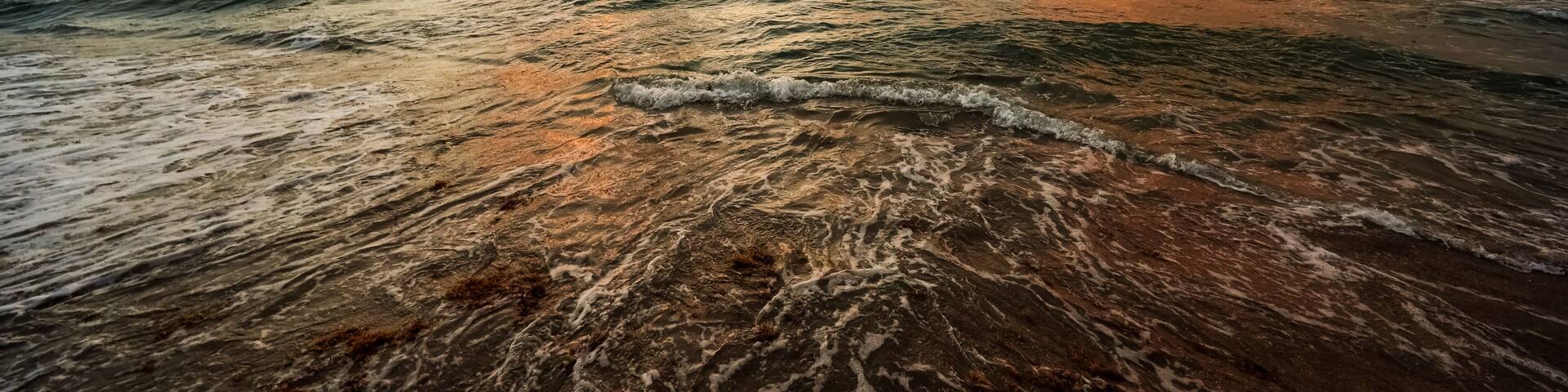 Sunrise Over the Atlantic Ocean with Seaweed on the Shore, Boca Raton, Florida