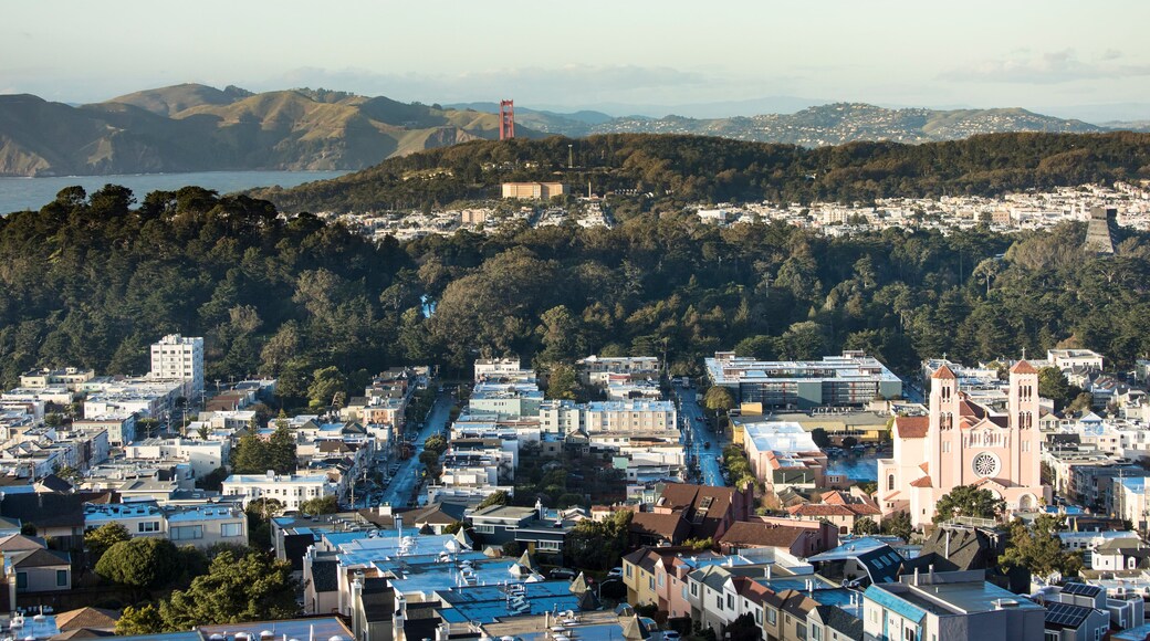 Low aerial view of Inner Sunset and Richmond districts of San Francisco with Golden Gate Bridge in Background