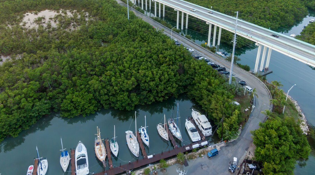 Boats moored in a marina off the Highway 1 in Key Largo, Floriday Keys, Florida, United States.