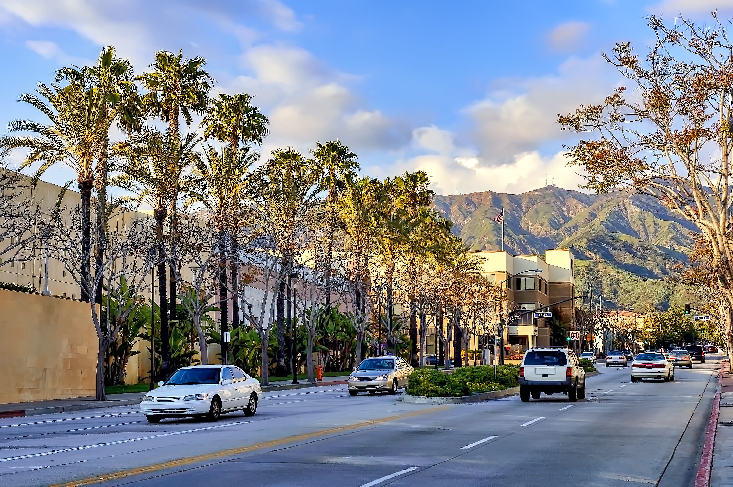 Palm tree lined avenue in Burbank, California.