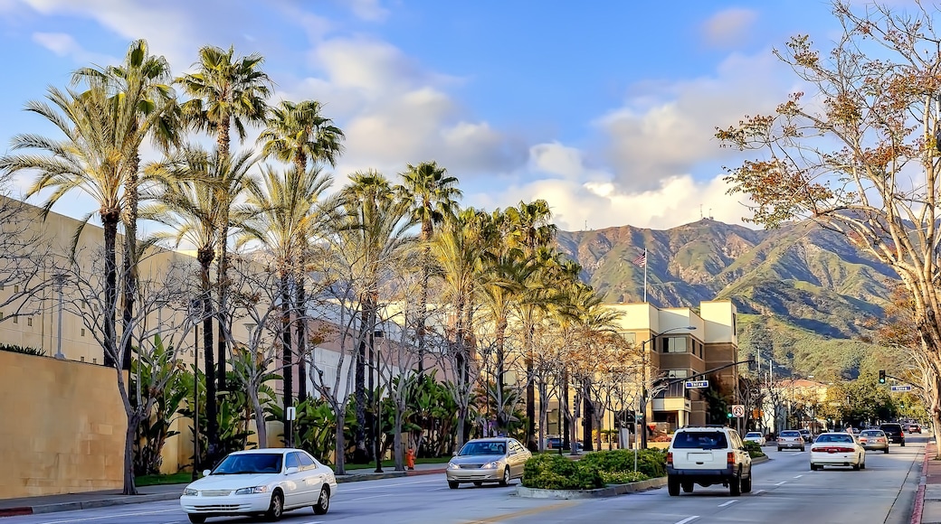 แมกโนเลีย พาร์ค