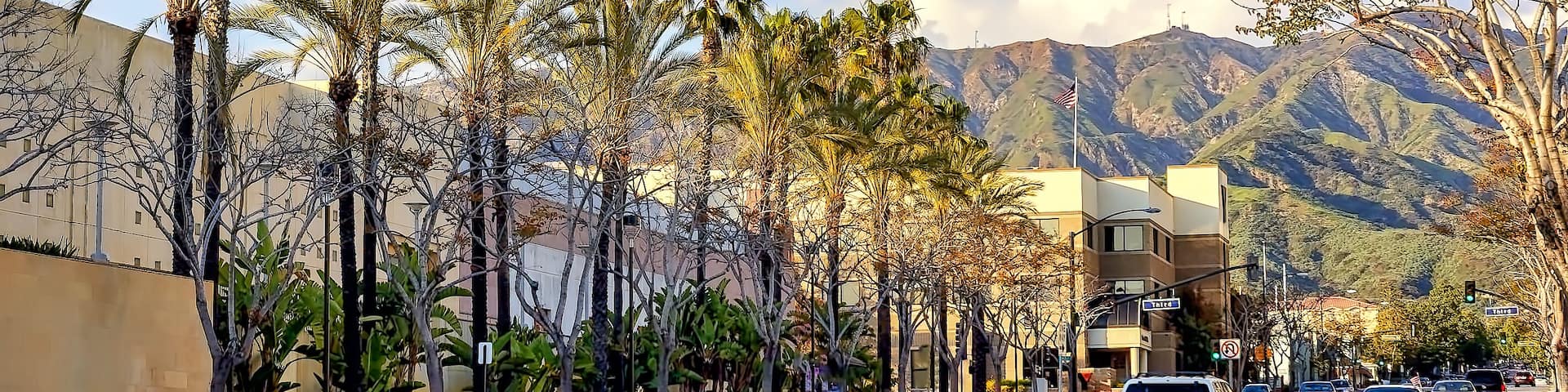 Palm tree lined avenue in Burbank, California.