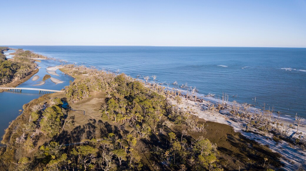 Birds eye view of coastal forest and Atlantic Ocean in South Carolina