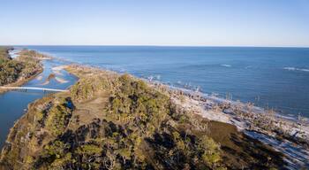 Birds eye view of coastal forest and Atlantic Ocean in South Carolina