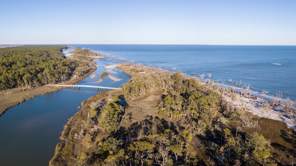 Birds eye view of coastal forest and Atlantic Ocean in South Carolina