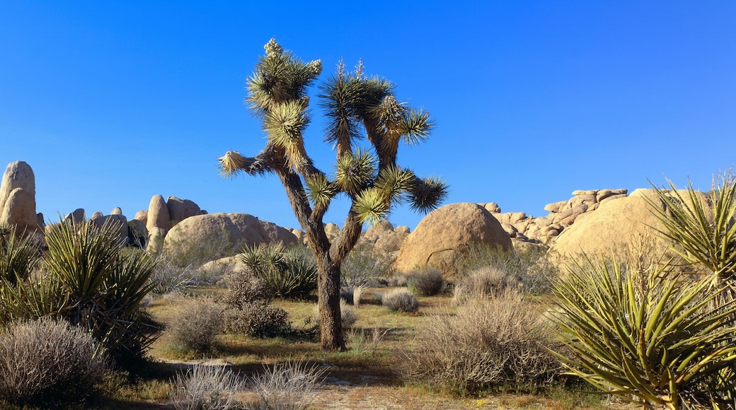 ๋ชจ๋ด๋จผํธ ๋งค๋