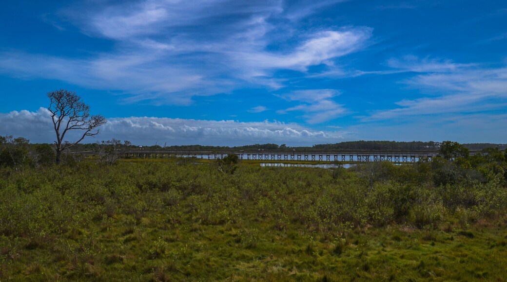 ๋ฒ ์ด์ฌ์ด๋