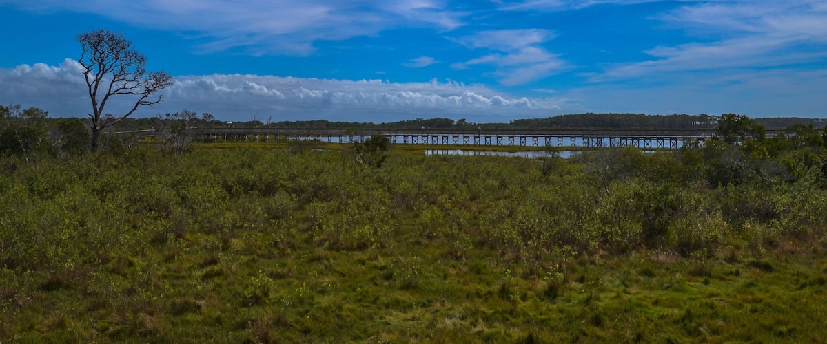 The Life of the Marsh Trail, Assateague Island National Seashore, Berlin, Maryland