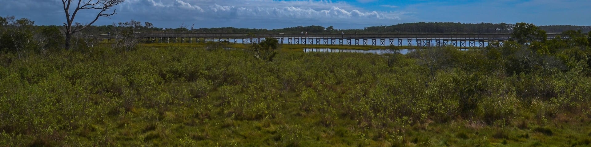 The Life of the Marsh Trail, Assateague Island National Seashore, Berlin, Maryland