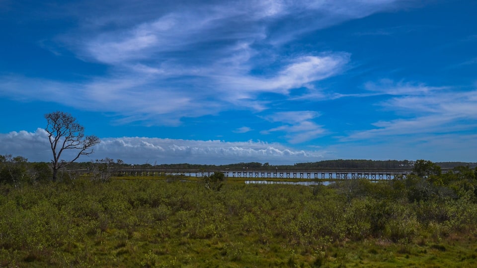 The Life of the Marsh Trail, Assateague Island National Seashore, Berlin, Maryland
