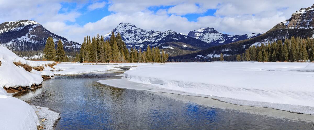 Lamar River Panorama