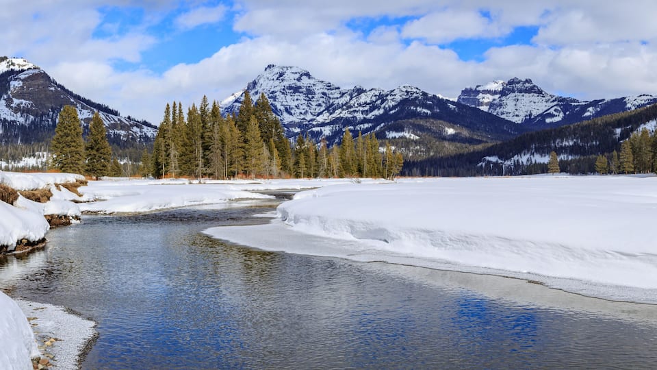 Lamar River Panorama