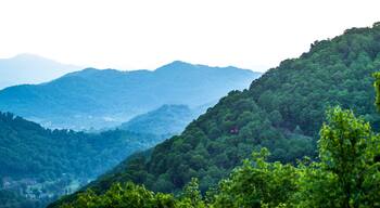 beautiful nature scenery in maggie valley north carolina