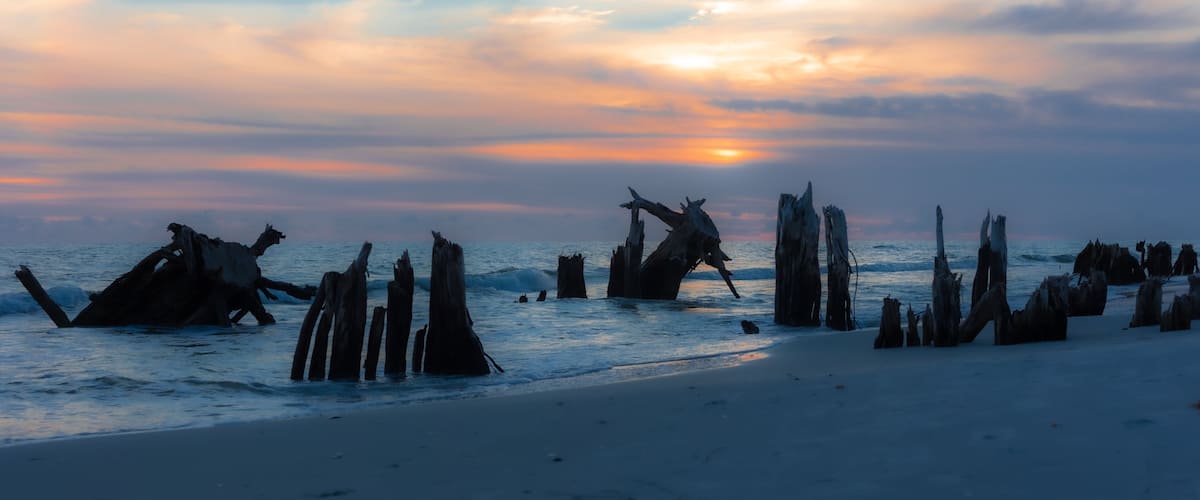 Beach Sunset Through the Stumps at Cape San Blas, Florida