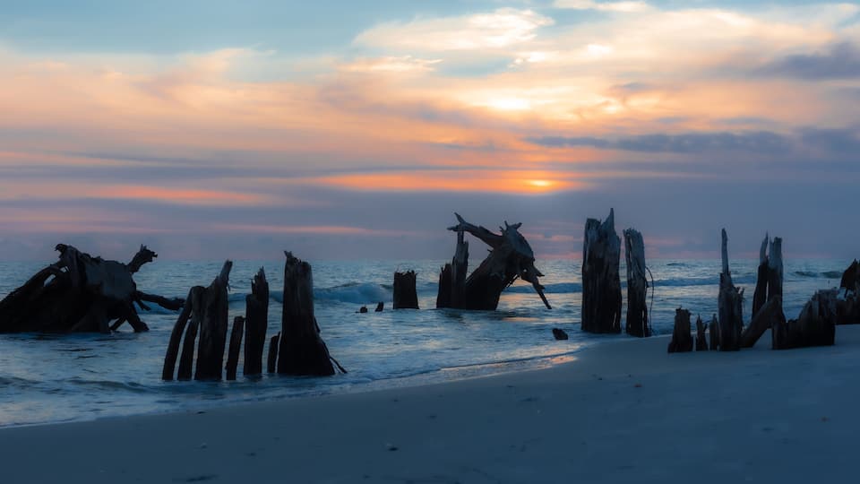 Beach Sunset Through the Stumps at Cape San Blas, Florida