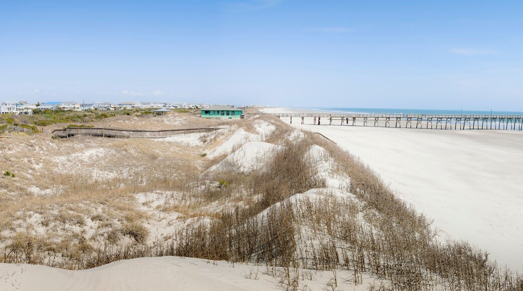 ์บ๋ฆฌ๋น์ธ ์ฝ๋ธ