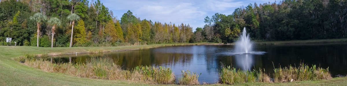 A serene lake with a fountain, surrounded by lush trees and a clear sky.
