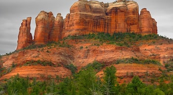 返回還是超越近鄰社區