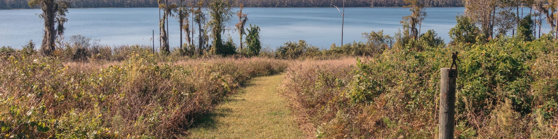 A hiking trail in Lake Louisa State park in Clermont, a suburb of Orlando, Florida.