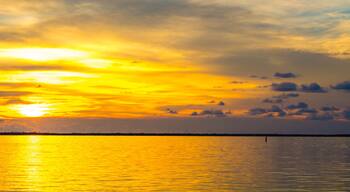 墨西哥湾沿岸英亩
