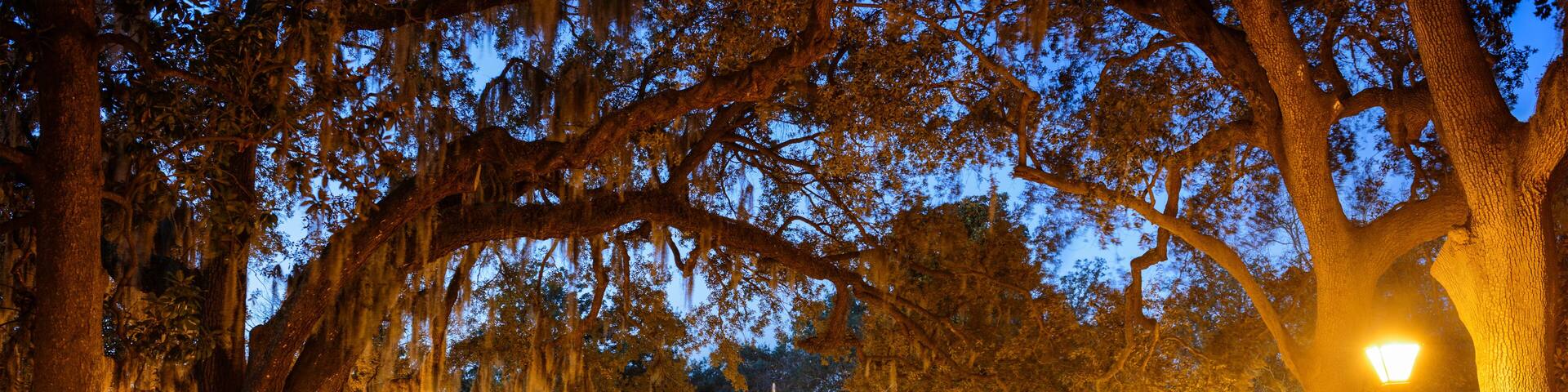 A park at dusk with a fountain, benches, and trees with Spanish moss.