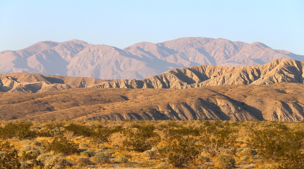 แชโดว์ ฮิลล์ส