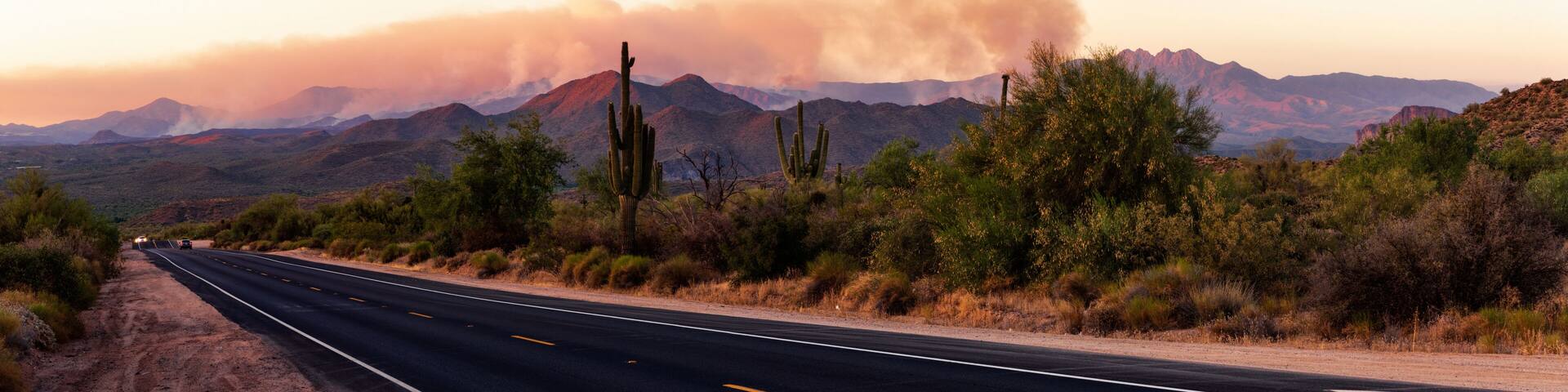 Bush Fire, Arizona
