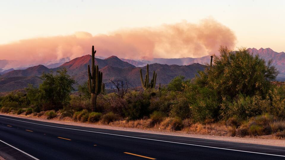 Bush Fire, Arizona