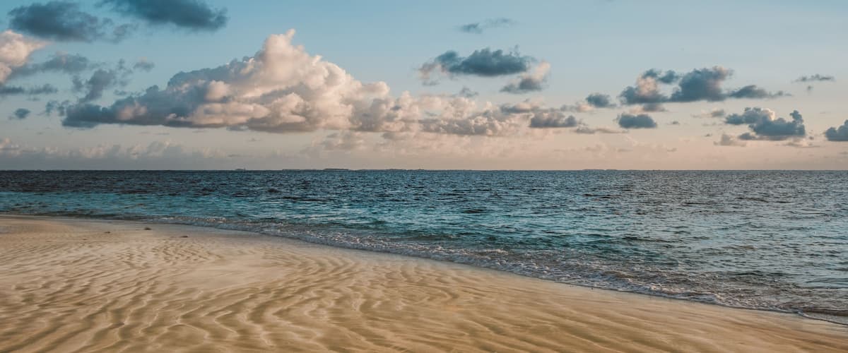 beach and ocean horizon