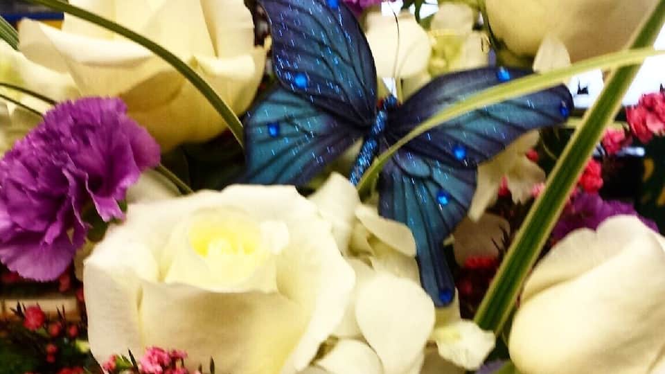 I wanted to make sure my boyfriend's grandma got pretty birthday flowers from her grandson, and this florist was able to make that happen over the phone (we're still in Washington).
She also snapped this* photo of the arrangement and sent it to my phone (via SMS). Awesome!
*I cropped the photo and made it a little brighter. ;)