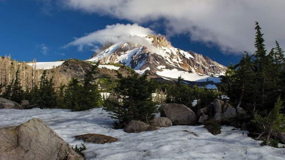 Mt Hood seen from Cairn Basin Loop Trail. The clouds were blowing in and so was the wind.