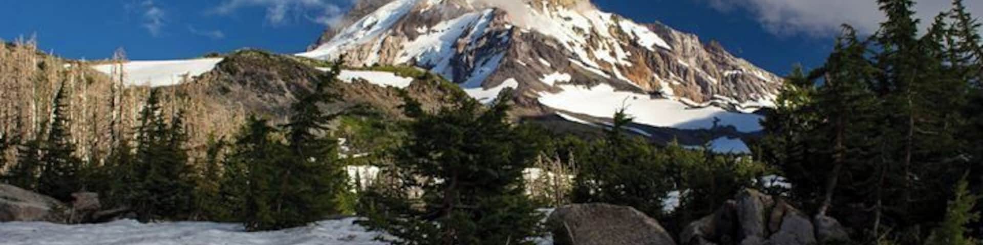Mt Hood seen from Cairn Basin Loop Trail. The clouds were blowing in and so was the wind.