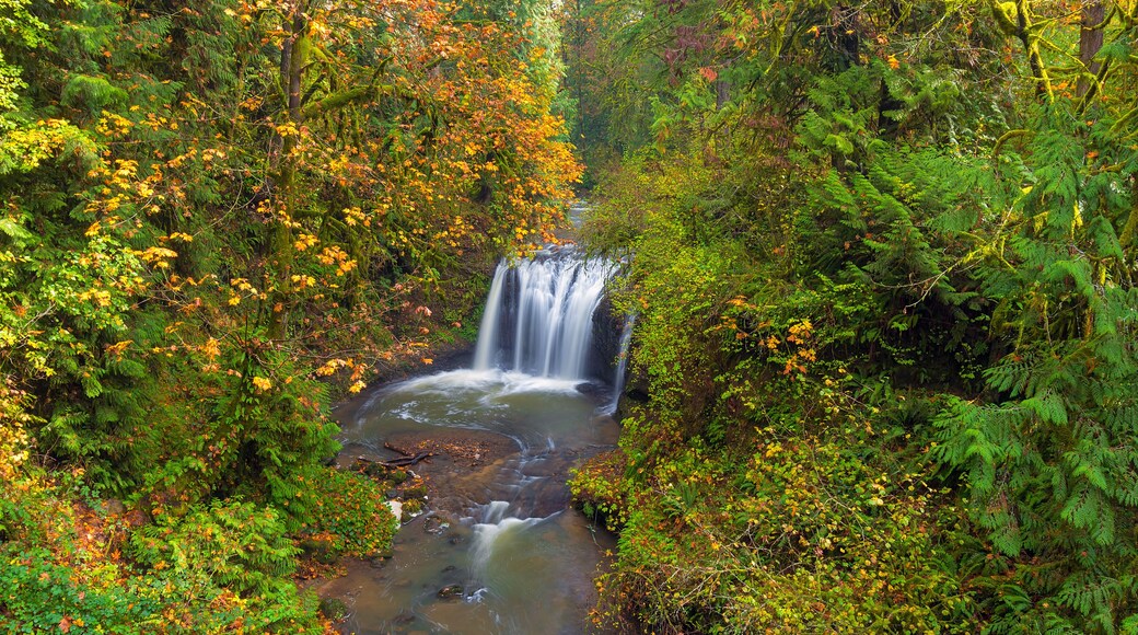 Hidden Falls in Autumn season Happy Valley Oregon USA America