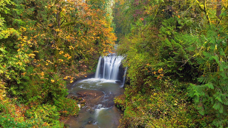 Hidden Falls in Autumn season Happy Valley Oregon USA America