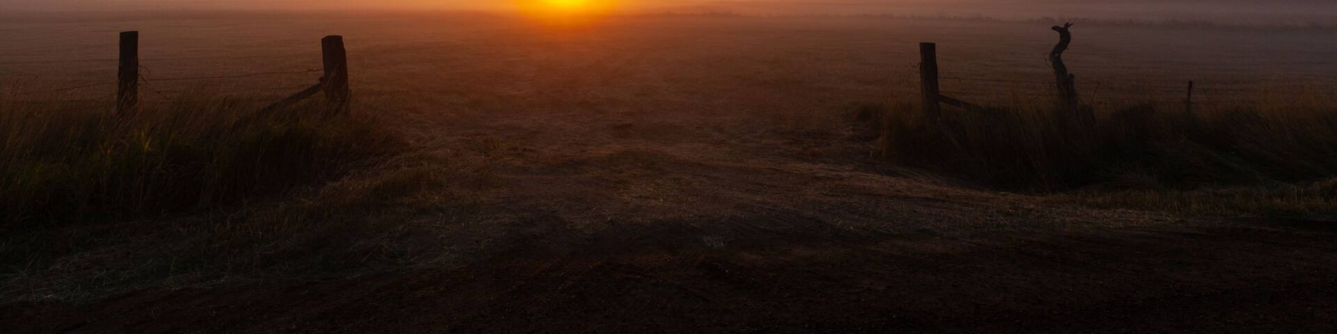 A sunrise over a flat landscape with a dirt path leading towards the horizon.