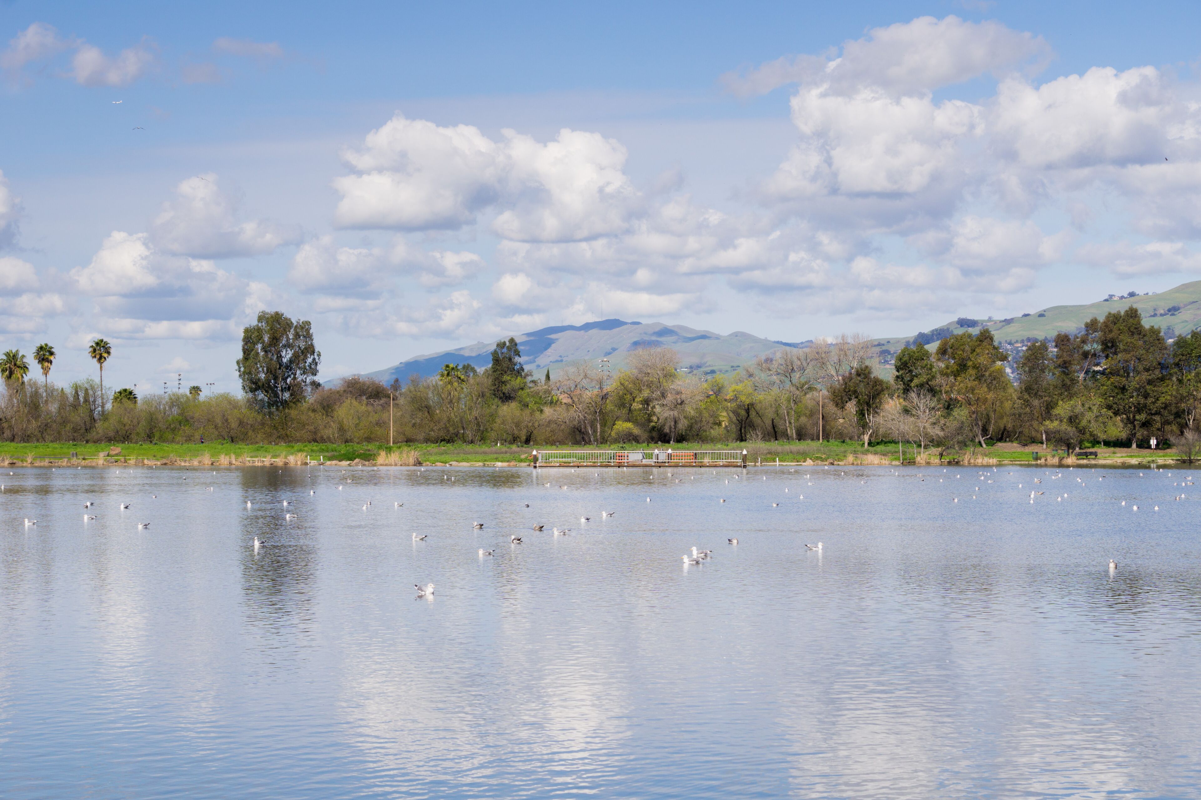 Cunningham Lake on a sunny day, San Jose, south San Francisco bay area, California